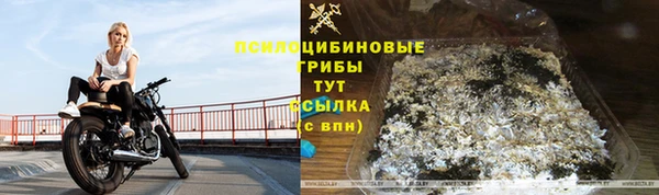 PSILOCYBIN Богородицк