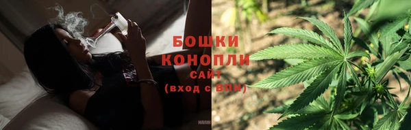 mdpv Богородск
