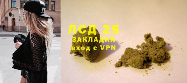 PSILOCYBIN Богородицк