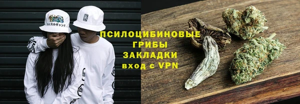 PSILOCYBIN Богородицк