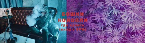 mdpv Богородск